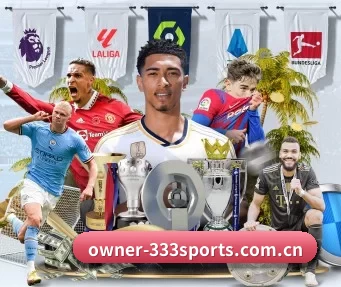 owner-333sports.com.cn APP